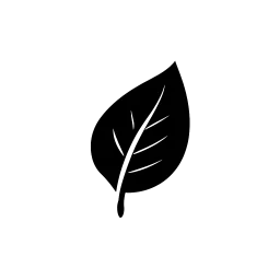 Sanitas Ex Natura — sklep testowy